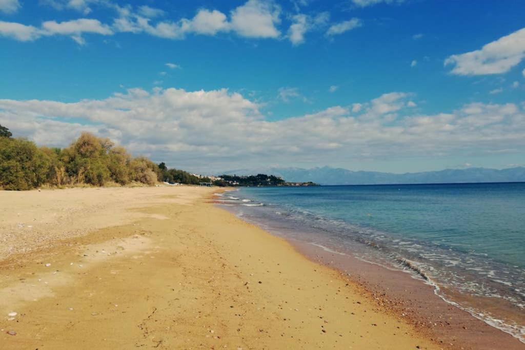 Im Herzen Von Koroni Luaran gambar
