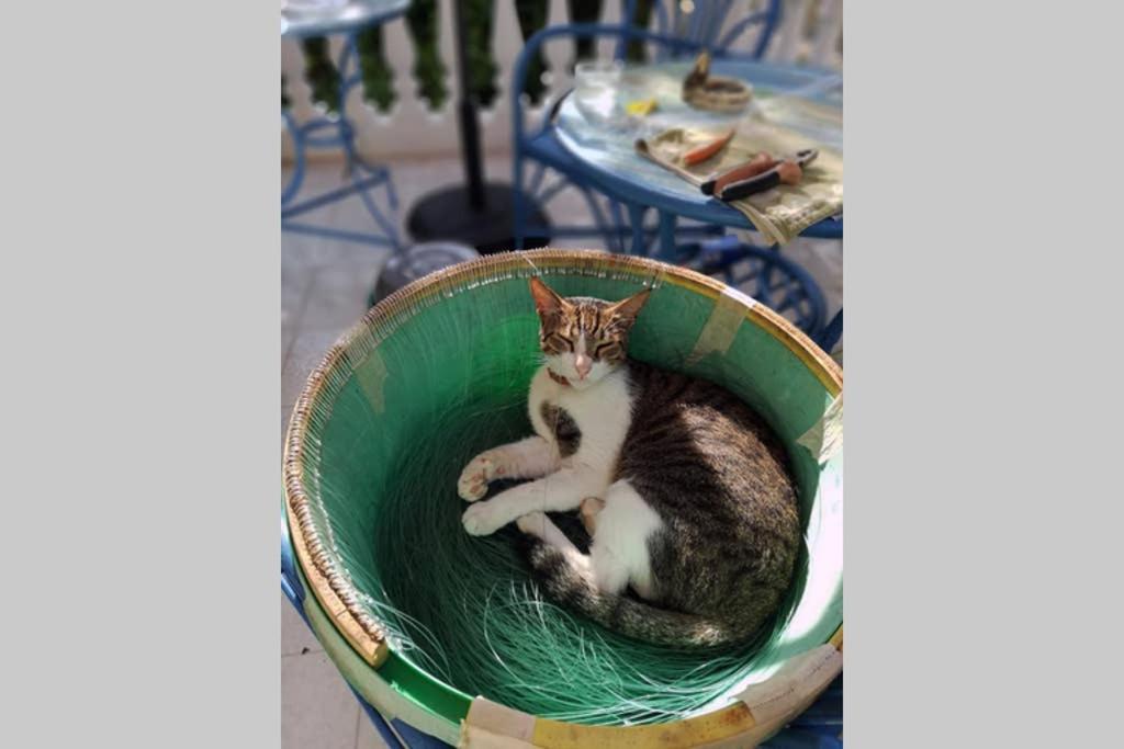 Im Herzen Von Koroni Luaran gambar